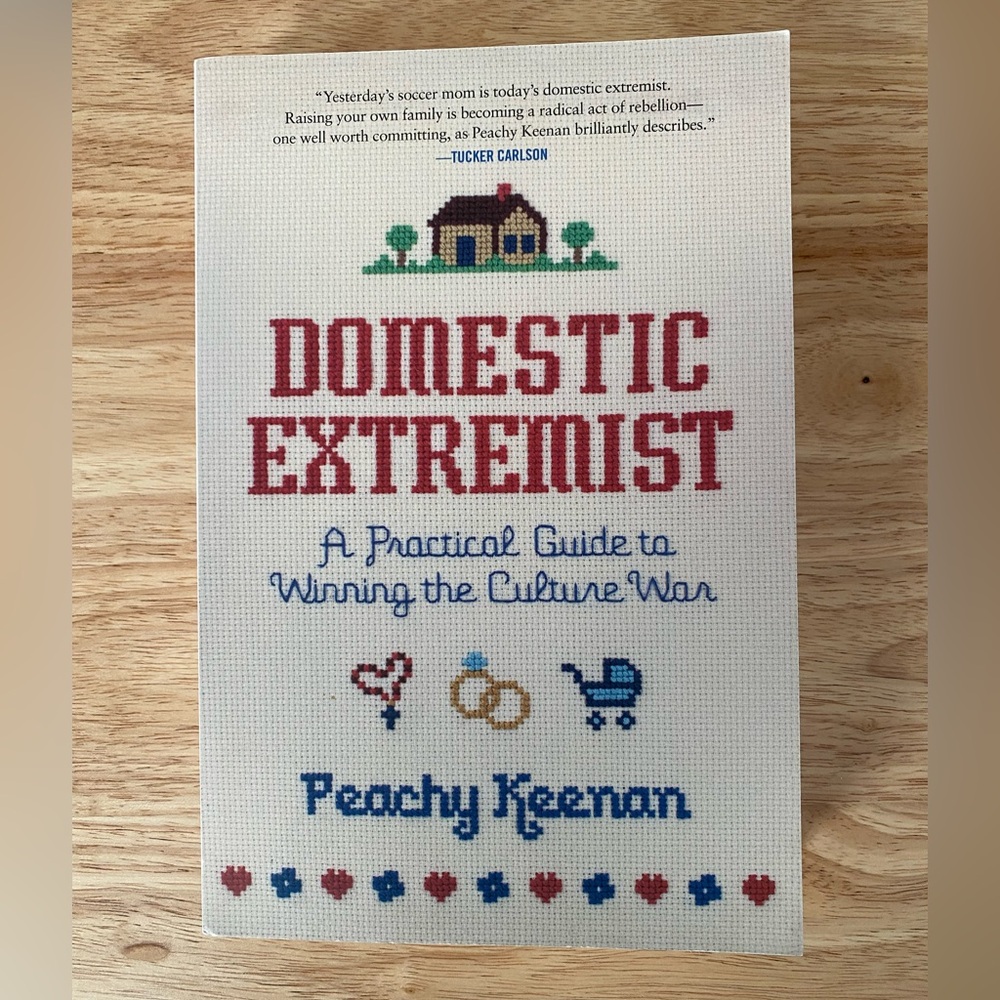 Domestic Extremist paperback book